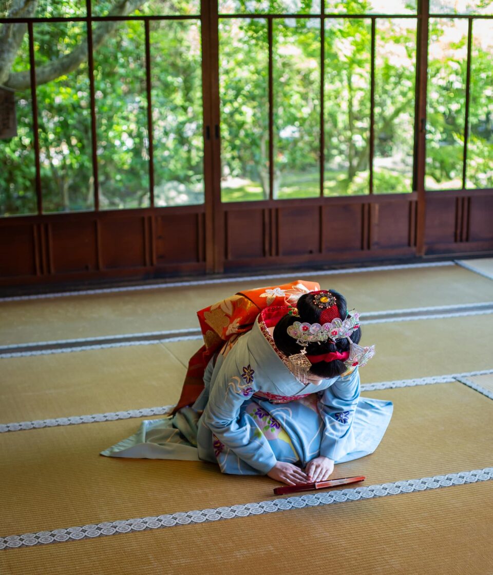 Maiko bowing gracefully on tatami in a traditional Kyoto tea room