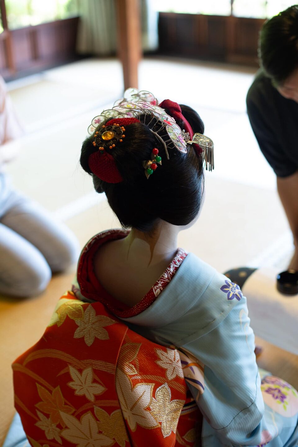 Close-up of maiko kanzashi hair ornaments and kimono collar in Kyoto